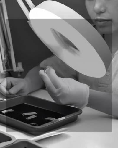 ALLZ, YOUR RELIABLE PARTNER